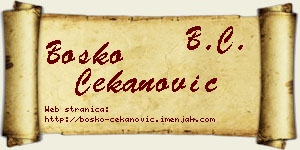 Boško Čekanović vizit kartica